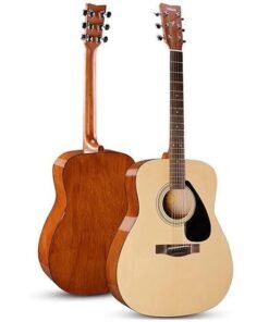 Acoustic Guitar