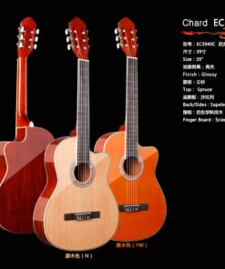 Classical Guitar
