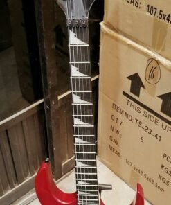 Electric Guitar