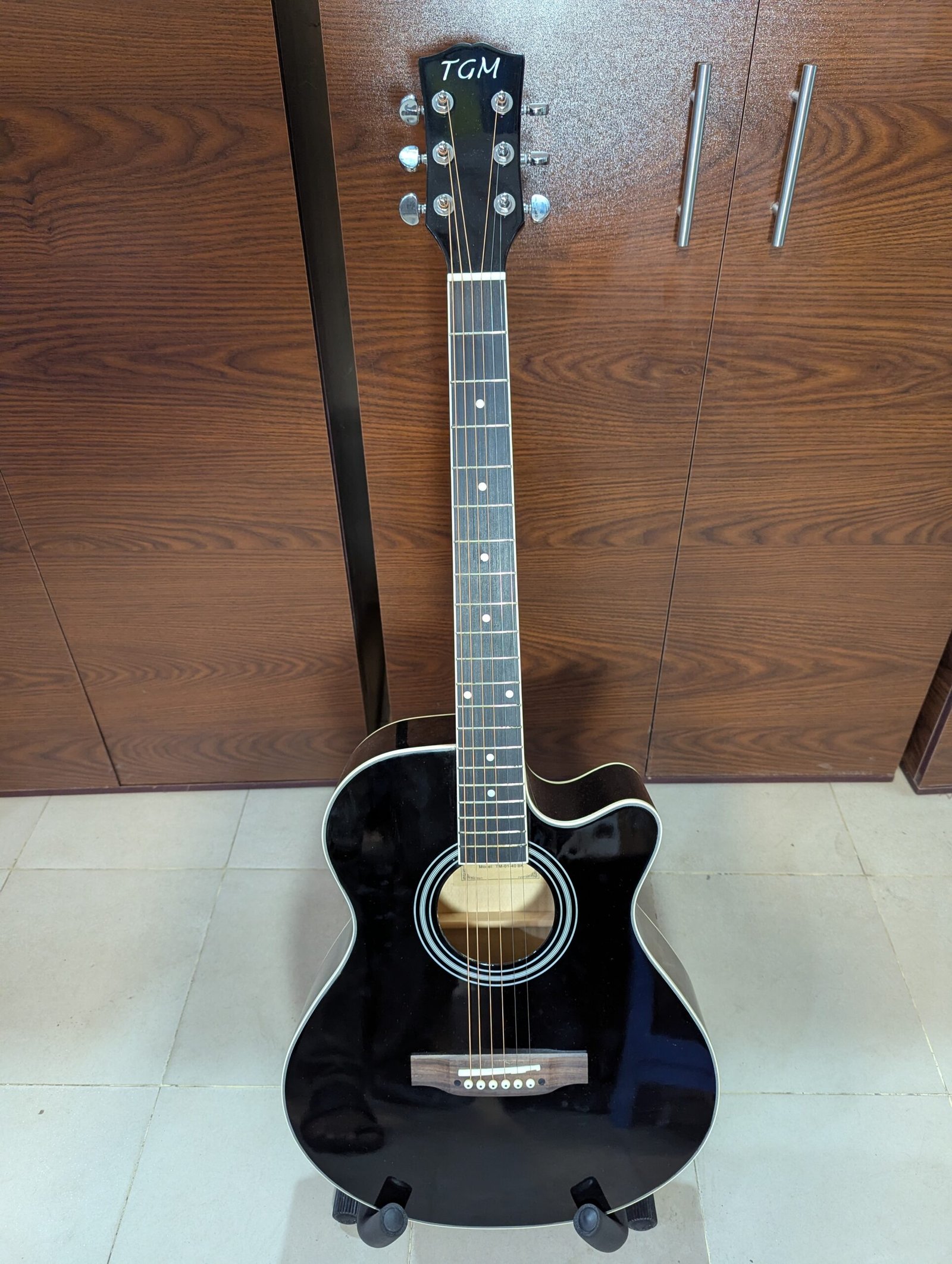 Acoustic Guitar