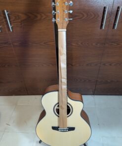 Deviser-LS-120-40 Acoustic Guitar