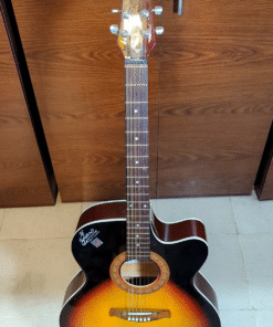 Signature Topaz-265 (Biswas) – 41 Inch Acoustic Guitar (Royal Color)